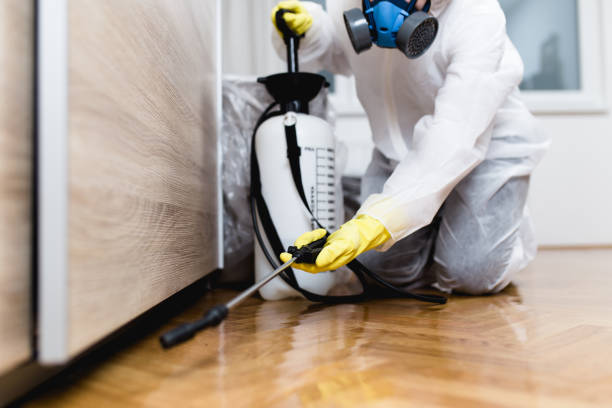 Best Pest Removal Services  in Dagsboro, DE