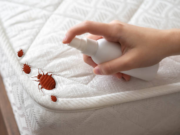 Best Commercial Pest Control Services  in Dagsboro, DE