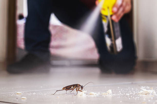 Insect Control in Dagsboro, DE